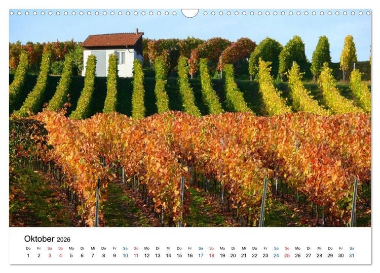 Produktbild: W&uuml;rttemberger Wein 2026 (Wandkalender 2026 DIN A3 quer), CALVENDO Monatskalender
