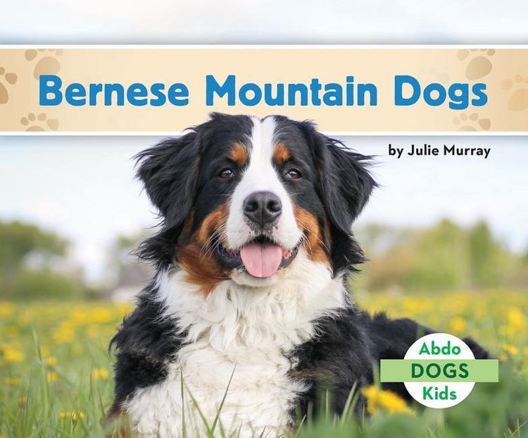 Produktbild: Bernese Mountain Dogs