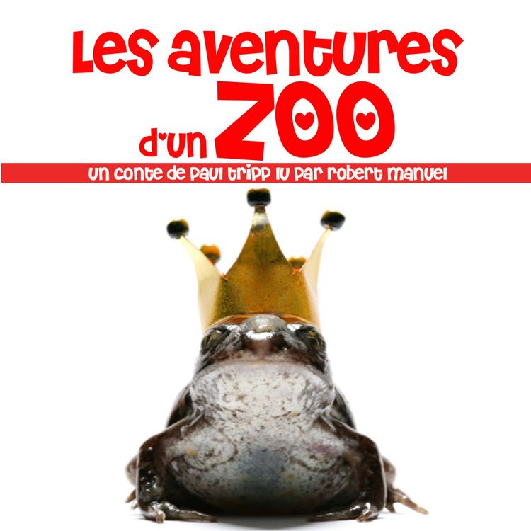 Produktbild: Les aventures d'un zoo