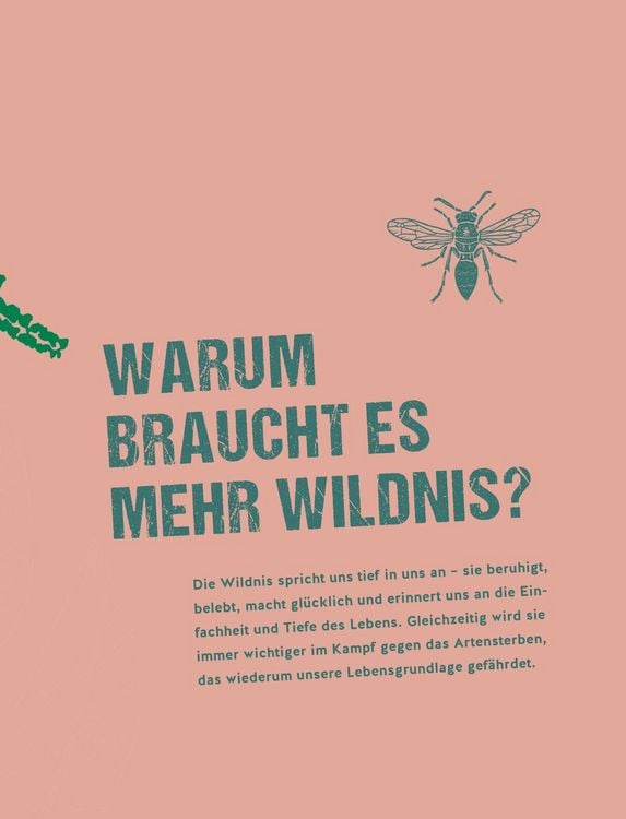 Produktbild: Let's go wild!