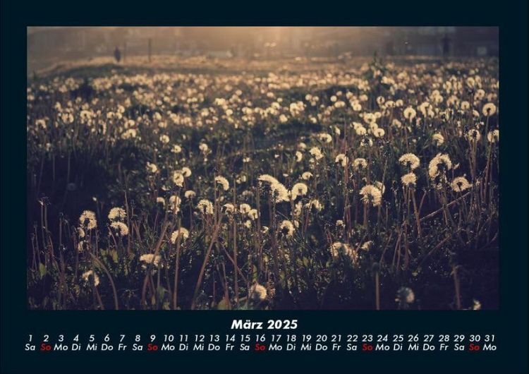 Produktbild: Blumentr&auml;ume 2025 Fotokalender DIN A4
