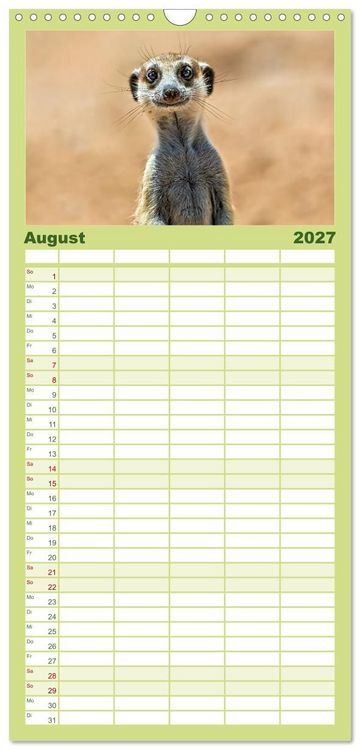Produktbild: Familienplaner 2027 - Afrikas Tierwelt - Erdm&auml;nnchen mit 5 Spalten (Wandkalender, 21 x 45 cm) CALVENDO