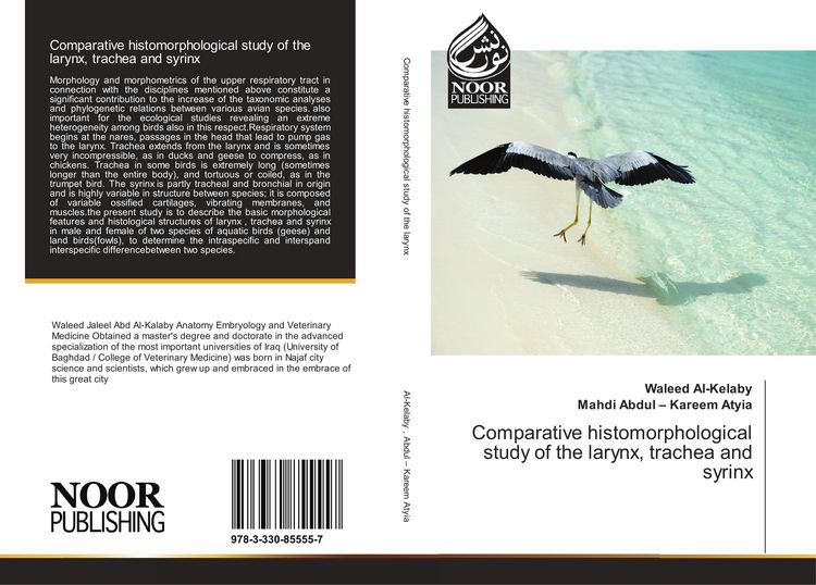 Produktbild: Comparative histomorphological study of the larynx, trachea and syrinx
