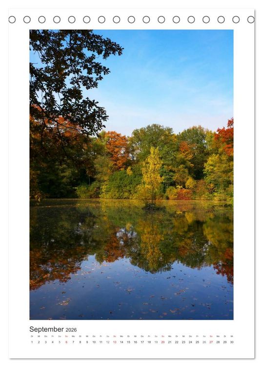 Produktbild: Impressionen aus unserem Wald (Tischkalender 2026 DIN A5 hoch), CALVENDO Monatskalender