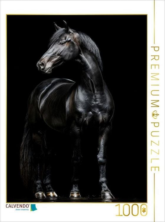 Produktbild: CALVENDO Puzzle Schwarze Eleganz - Pferde Rappe | 1000 Teile Lege-Gr&ouml;&szlig;e 64x48cm Foto-Puzzle f&uuml;r gl&uuml;ckliche Stunden