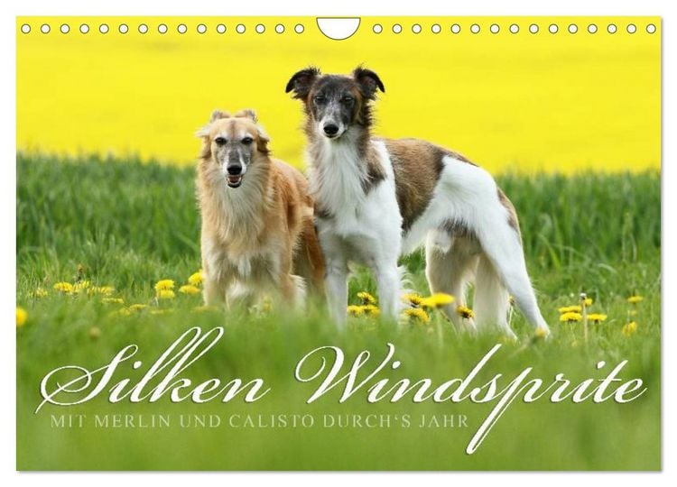 Produktbild: Silken Windsprite - Mit Merlin und Calisto durch&acute;s Jahr 2026 (Wandkalender 2026 DIN A4 quer), CALVENDO Monatskalender