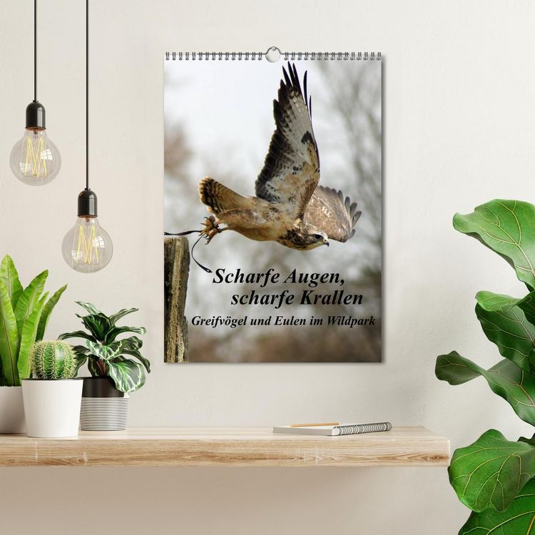 Produktbild: Scharfe Krallen, scharfe Augen, Greifv&ouml;gel und Eulen im Wildpark (Wandkalender 2026 DIN A3 hoch), CALVENDO Monatskalender