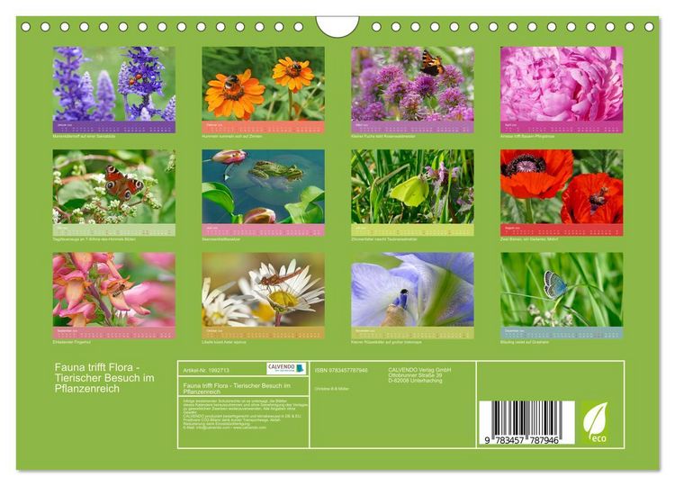 Produktbild: Fauna trifft Flora - Tierischer Besuch im Pflanzenreich (Wandkalender 2026 DIN A4 quer), CALVENDO Monatskalender
