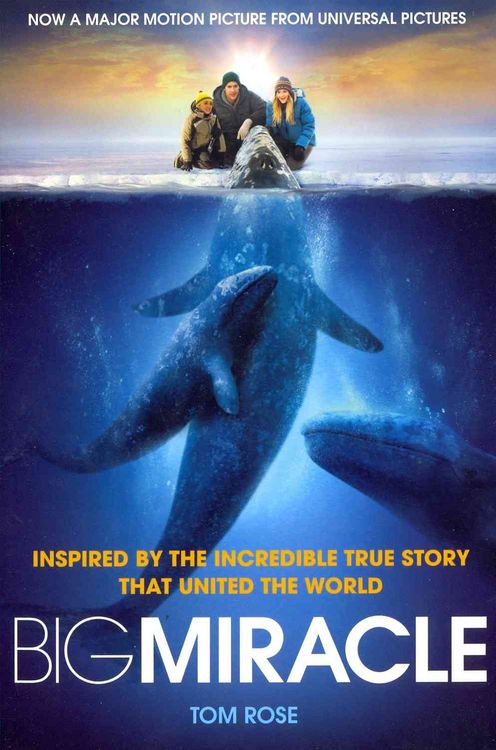 Produktbild: Rose, T: Big Miracle