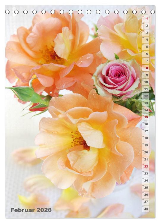 Produktbild: Sch&ouml;nste Rosen (Tischkalender 2026 DIN A5 hoch), CALVENDO Monatskalender
