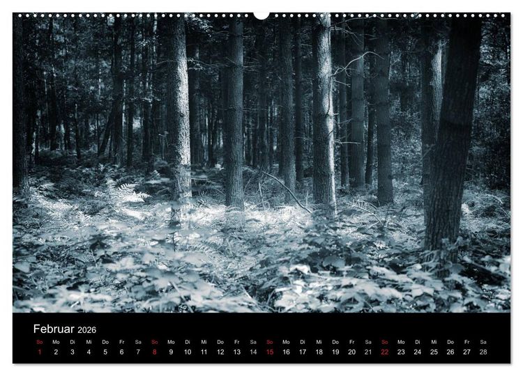 Produktbild: Mystische W&auml;lder (hochwertiger Premium Wandkalender 2026 DIN A2 quer), Kunstdruck in Hochglanz