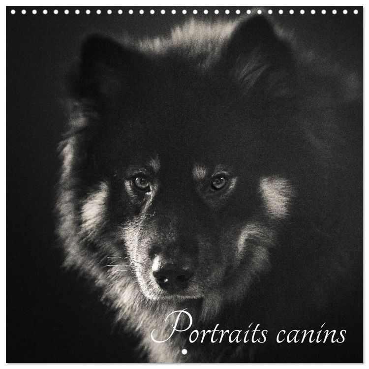 Produktbild: Portraits canins (Calendrier mural carr&eacute; 2026 30x30 cm) Calendrier double avec une page pour vos prises de notes