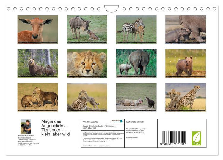 Produktbild: Magie des Augenblicks - Tierkinder - klein, aber wild (Wandkalender 2026 DIN A4 quer), CALVENDO Monatskalender