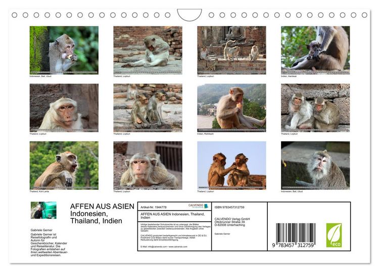 Produktbild: AFFEN AUS ASIEN Indonesien, Thailand, Indien (Wandkalender 2026 DIN A4 quer), CALVENDO Monatskalender