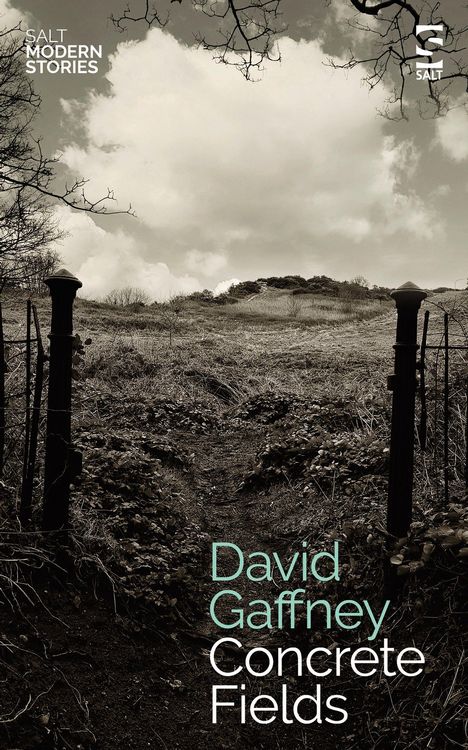 Produktbild: Gaffney, D: Concrete Fields