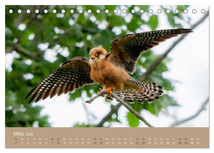 Produktbild: Jenseits der Z&auml;une (Tischkalender 2026 DIN A5 quer), CALVENDO Monatskalender