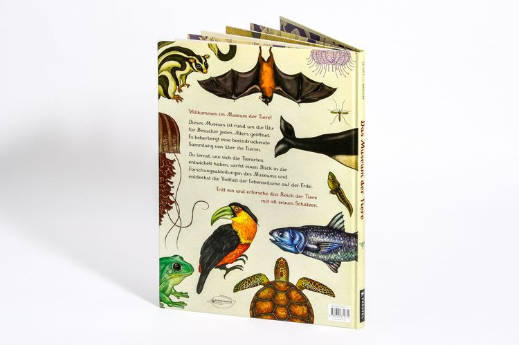Produktbild: Das Museum der Tiere