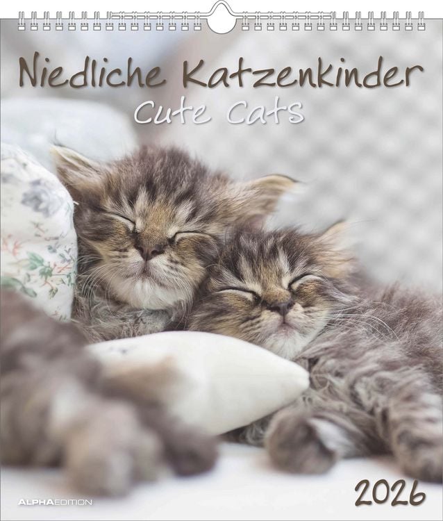 Bild vom Artikel Niedliche Katzenkinder 2026 - Wand-Kalender - Tier-Kalender - 30x34 vom Autor Alpha Edition