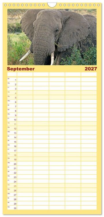 Produktbild: Familienplaner 2027 - Elefanten in der Serengeti mit 5 Spalten (Wandkalender, 21 x 45 cm) CALVENDO