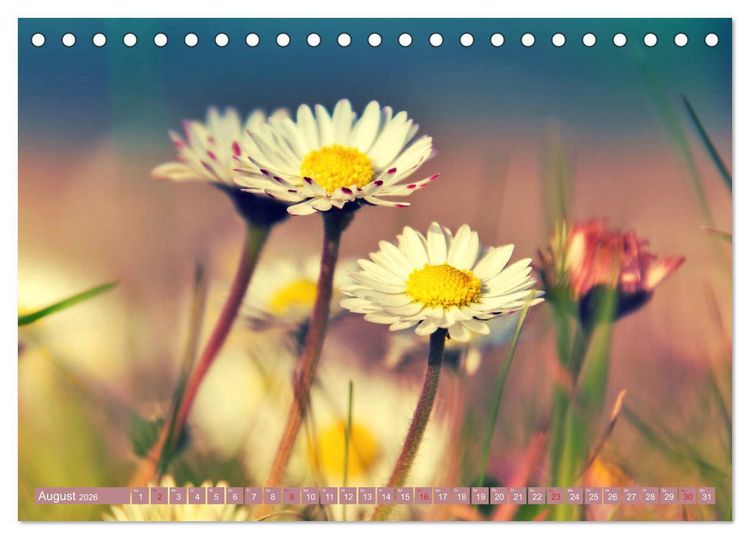 Produktbild: G&auml;nsebl&uuml;mchen Poesie (Tischkalender 2026 DIN A5 quer), CALVENDO Monatskalender