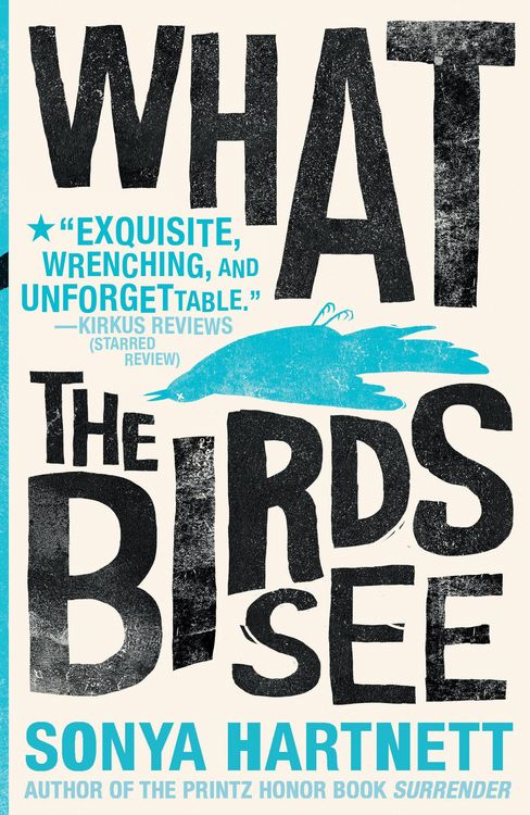 Produktbild: What the Birds See
