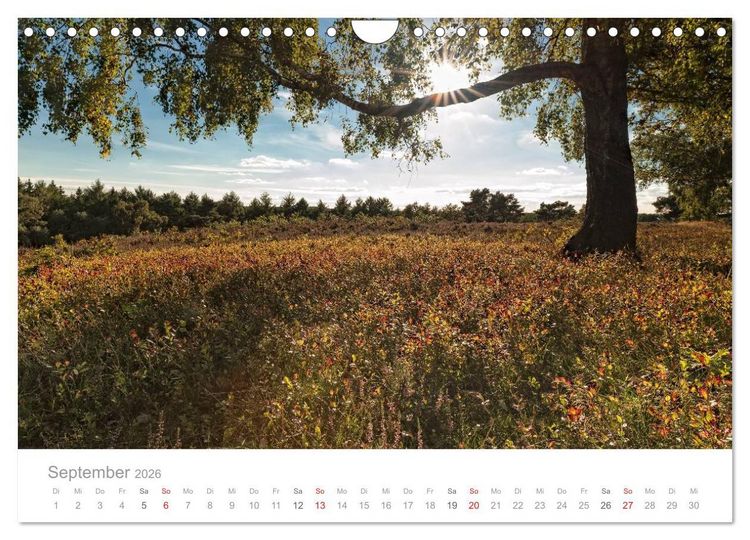 Produktbild: Lichtreise durch Schleswig-Holstein (Wandkalender 2026 DIN A4 quer), CALVENDO Monatskalender