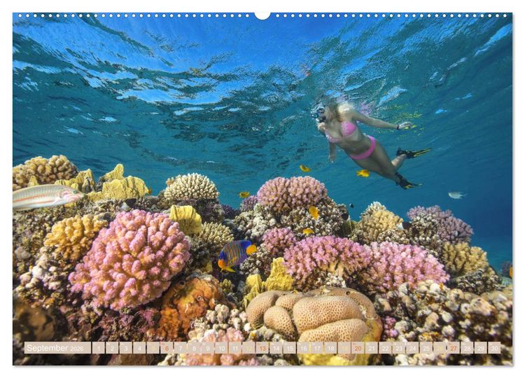 Produktbild: Die Malediven: Fluchtpunkt Sehnsucht (Wandkalender 2026 DIN A2 quer), CALVENDO Monatskalender