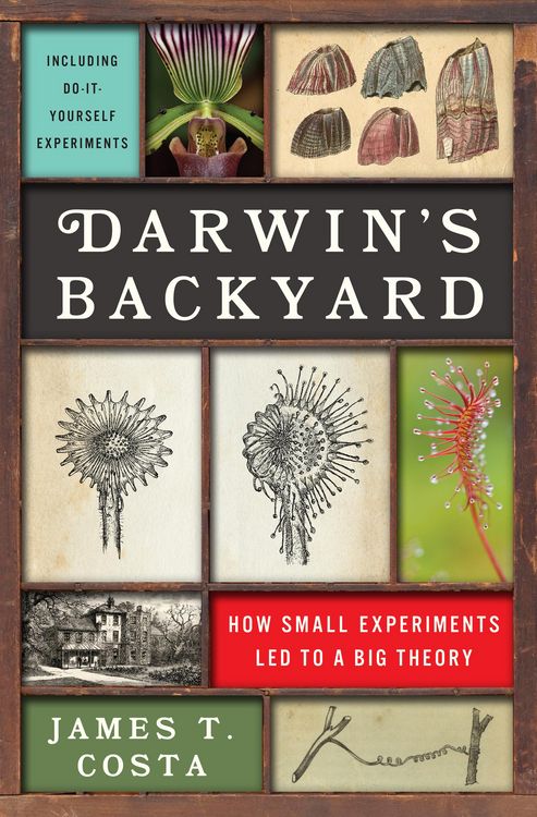 Produktbild: Darwin's Backyard