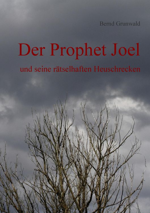Produktbild: Der Prophet Joel