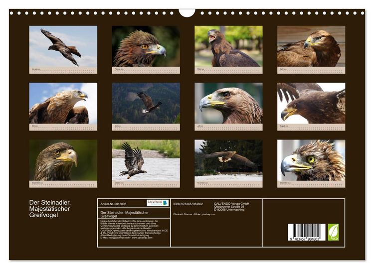 Produktbild: Der Steinadler. Majest&auml;tischer Greifvogel (Wandkalender 2026 DIN A3 quer), CALVENDO Monatskalender