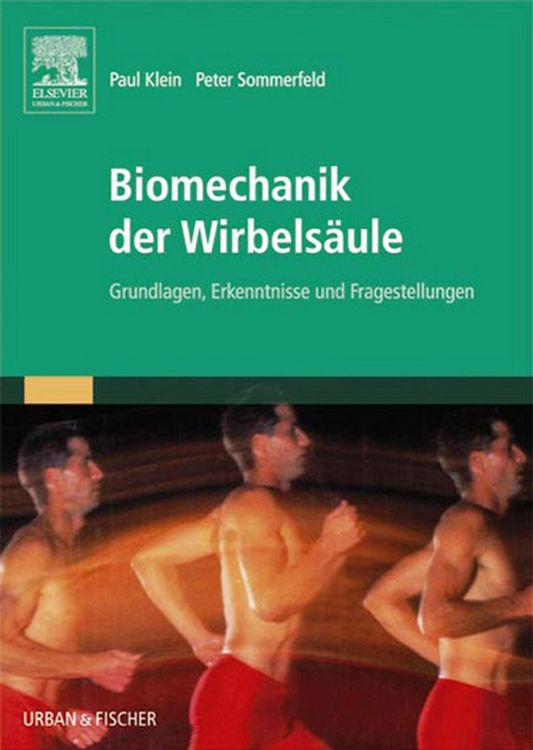 Produktbild: Biomechanik der Wirbels&auml;ule