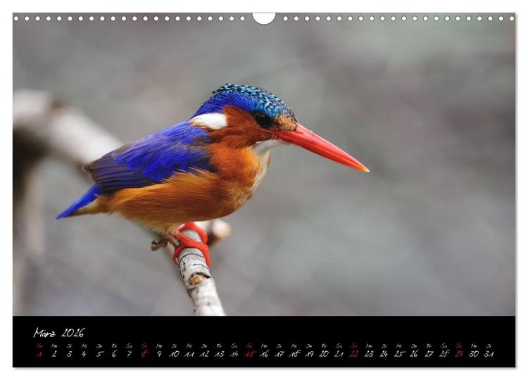 Produktbild: S&uuml;dafrika (Wandkalender 2026 DIN A3 quer), CALVENDO Monatskalender