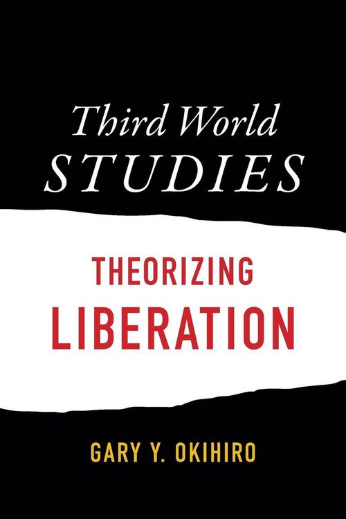 Produktbild: Third World Studies