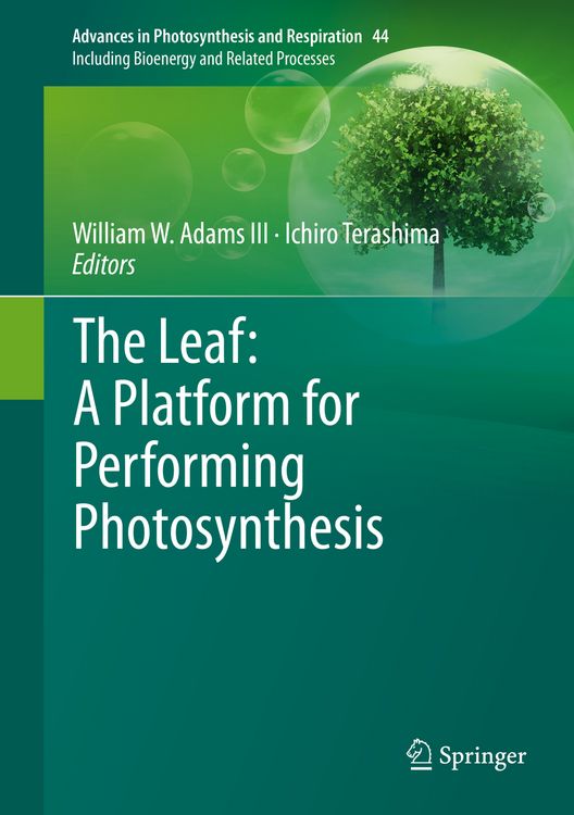 Produktbild: The Leaf: A Platform for Performing Photosynthesis