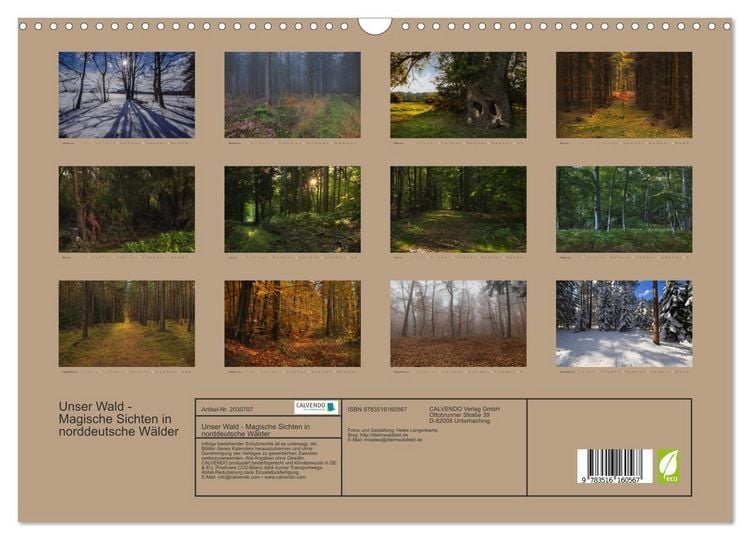 Produktbild: Unser Wald - Magische Sichten in norddeutsche W&auml;lder (Wandkalender 2026 DIN A3 quer), CALVENDO Monatskalender