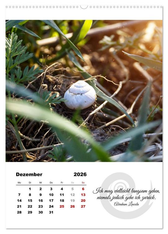 Produktbild: Schnecklein (Wandkalender 2026 DIN A2 hoch), CALVENDO Monatskalender