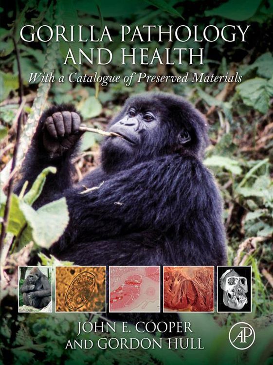 Produktbild: Gorilla Pathology and Health