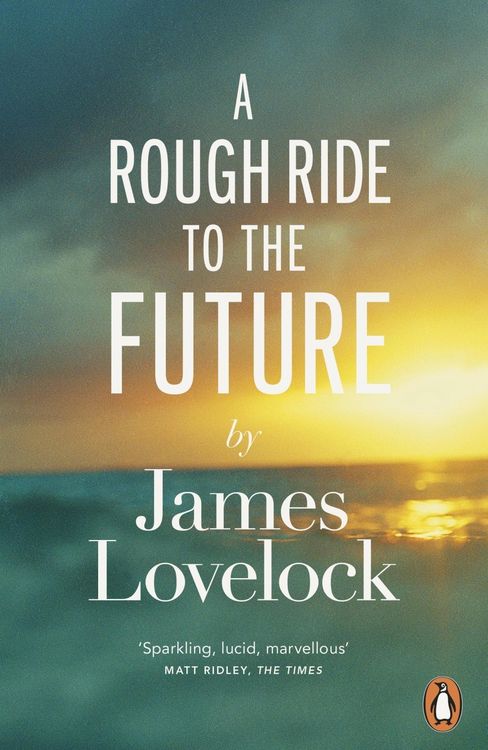 Produktbild: A Rough Ride to the Future