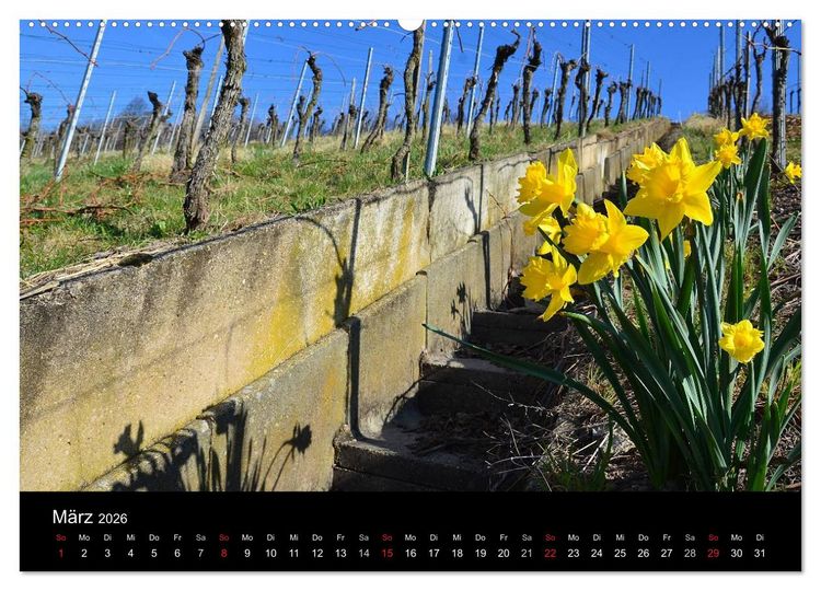 Produktbild: W.EINBLICK (Wandkalender 2026 DIN A2 quer), CALVENDO Monatskalender