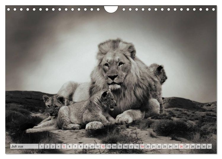 Produktbild: Wilde Tiere in schwarz-wei&szlig; (Wandkalender 2026 DIN A4 quer), CALVENDO Monatskalender