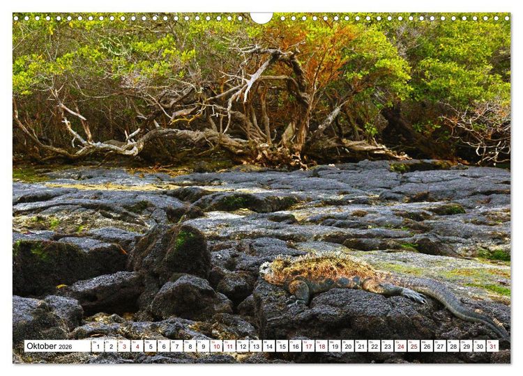 Produktbild: Gal&aacute;pagos - Die verwunschenen Inseln (Wandkalender 2026 DIN A3 quer), CALVENDO Monatskalender