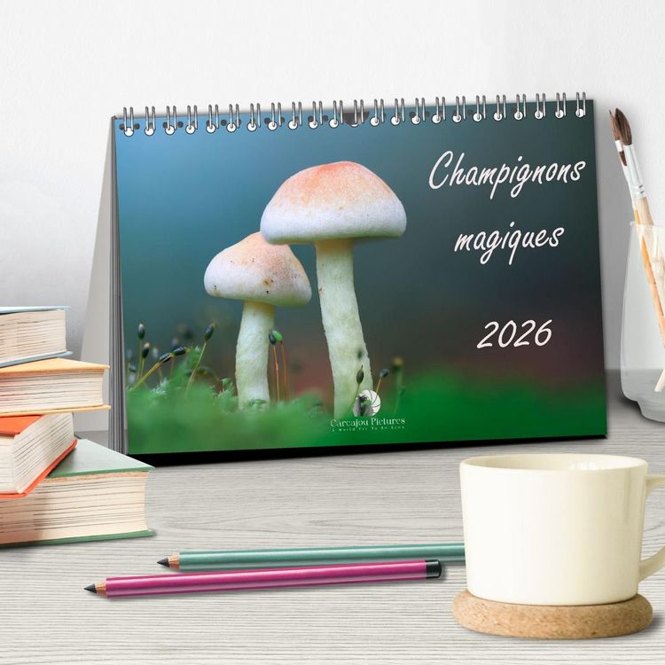 Produktbild: Champignons magiques (Calendrier de bureau 2027 DIN A5 vertical), CALVENDO calendrier mensuel