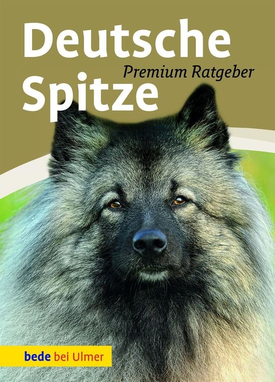 Bild vom Artikel Deutsche Spitze vom Autor Annette Schmitt