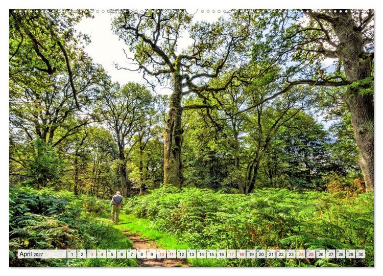 Produktbild: Naturpark Reinhardswald - Wo die Sababurg auf die Weser trifft (Wandkalender 2027 DIN A2 quer), CALVENDO Monatskalender