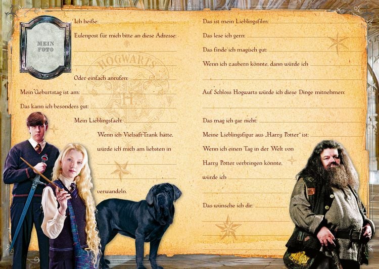 Produktbild: Harry Potter: Meine Freunde