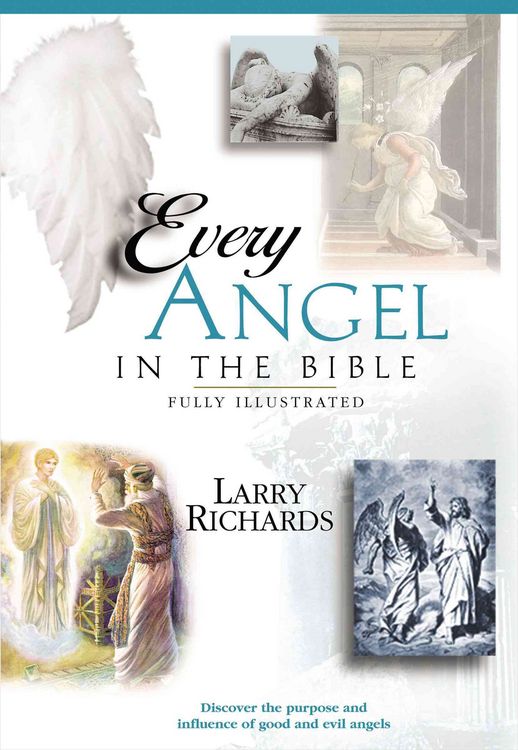 Produktbild: The Every Angel in the Bible