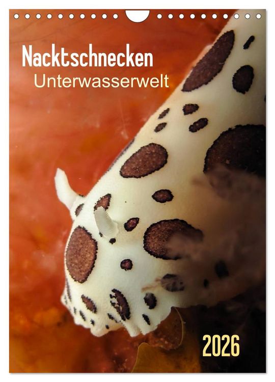 Produktbild: Nacktschnecken - Unterwasserwelt 2026 (Wandkalender 2026 DIN A4 hoch), CALVENDO Monatskalender