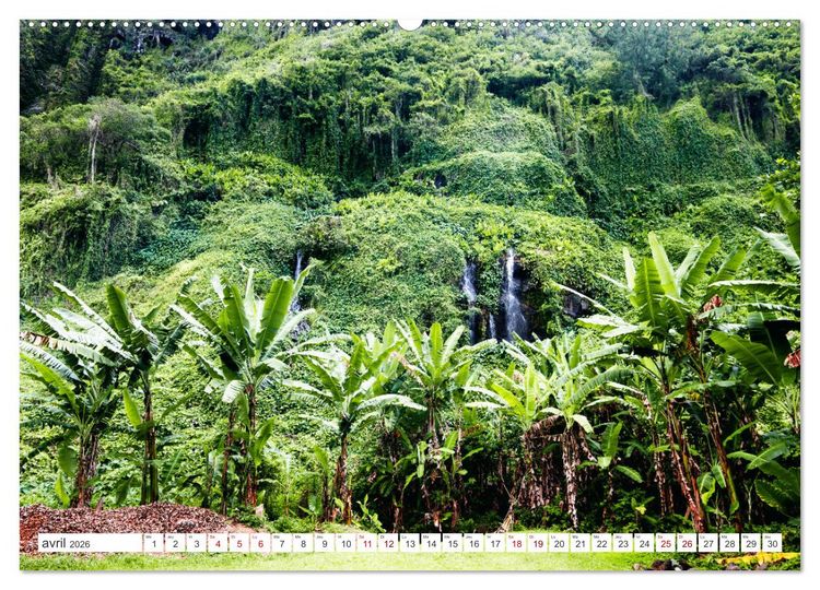 Produktbild: &Icirc;le de la R&eacute;union - Le paradis fran&ccedil;ais dans l'oc&eacute;an Indien (Calendrier mural 2026 DIN A2 vertical) calendrier de bureau