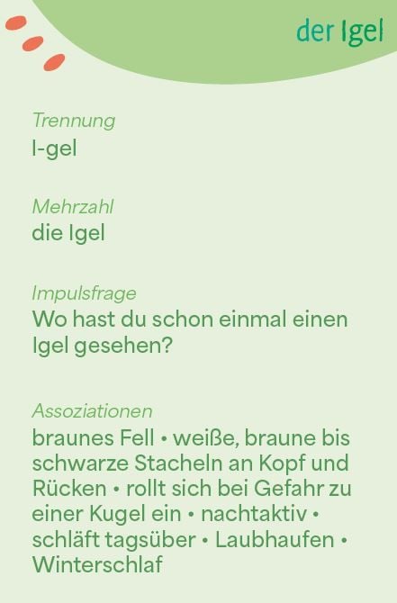 Produktbild: Wortschatzk&auml;rtchen: Auf der Wiese