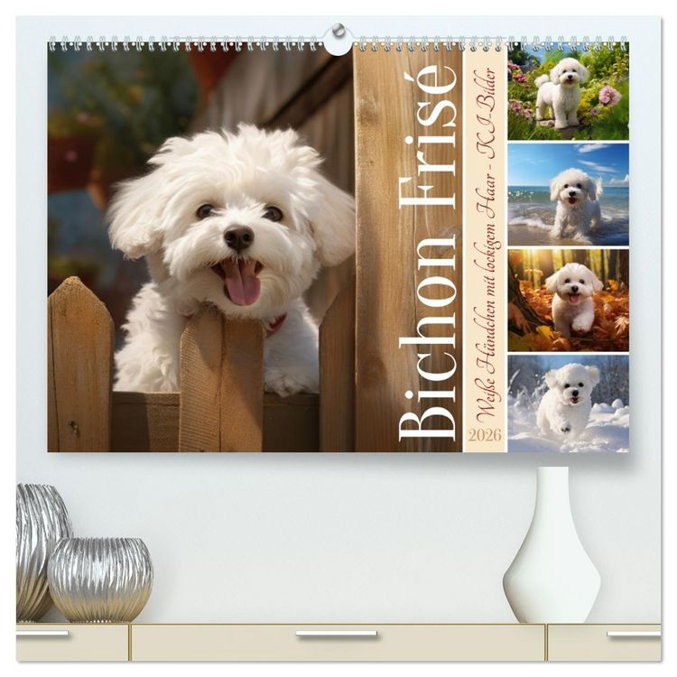 Produktbild: Bichon fris&eacute;, wei&szlig;e H&uuml;ndchen mit lockigem Haar (hochwertiger Premium Wandkalender 2026 DIN A2 quer), Kunstdruck in Hochglanz